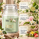 Sugar Bloom Jasmine & Driftwood Candle 510g