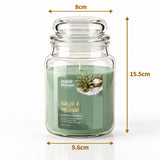 Sugar Bloom Sage & Sea Salt Candle 510g