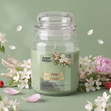 Sugar Bloom Jasmine & Driftwood Candle 510g