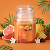 Sugar Bloom Tropical Sunrise Candle 510g