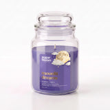 Sugar Bloom Moonlit Dreams Candle 510g