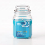 Sugar Bloom Ocean Spray Candle 510g